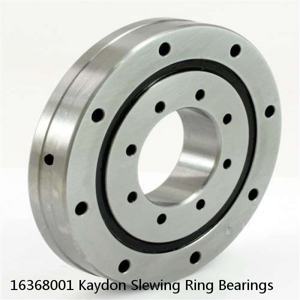 16368001 Kaydon Slewing Ring Bearings #1 small image
