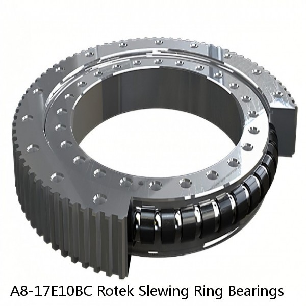 A8-17E10BC Rotek Slewing Ring Bearings #1 small image