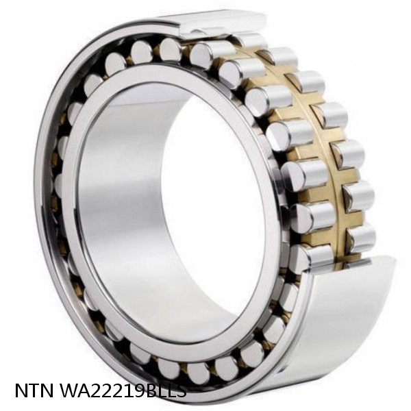 WA22219BLLS NTN Thrust Tapered Roller Bearing #1 small image