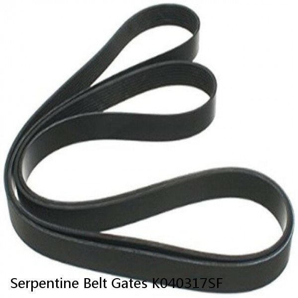 Serpentine Belt Gates K040317SF #1 small image