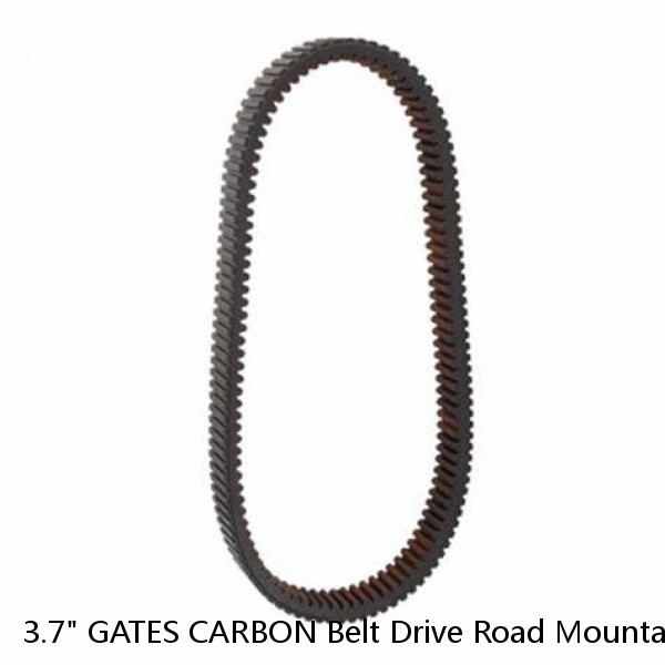 3.7" GATES CARBON Belt Drive Road Mountain Commute Race Bike Frame Sticker Decal