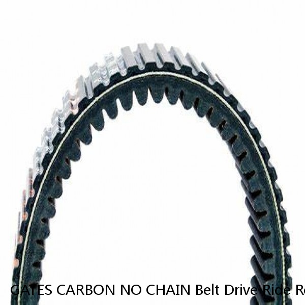GATES CARBON NO CHAIN Belt Drive Ride Road Mountain Bike Frame Sticker Decal #1 small image
