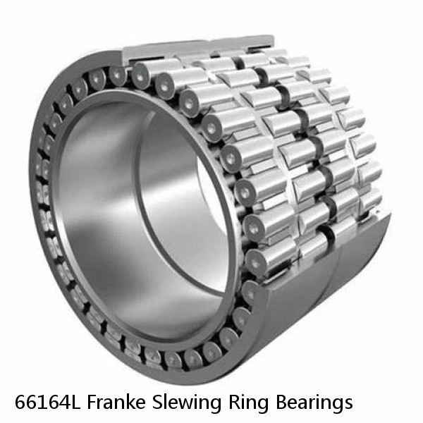 66164L Franke Slewing Ring Bearings #1 image