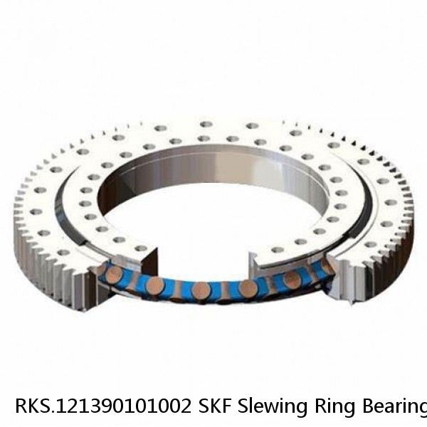 RKS.121390101002 SKF Slewing Ring Bearings #1 image