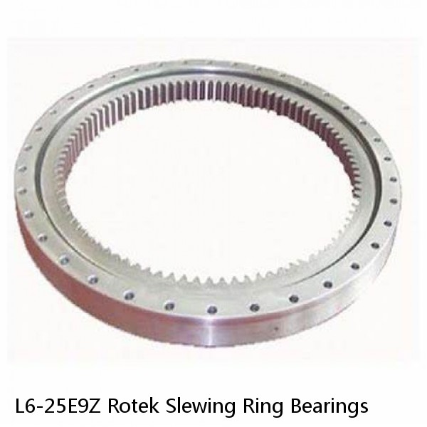 L6-25E9Z Rotek Slewing Ring Bearings #1 image