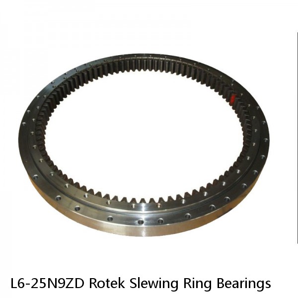 L6-25N9ZD Rotek Slewing Ring Bearings #1 image