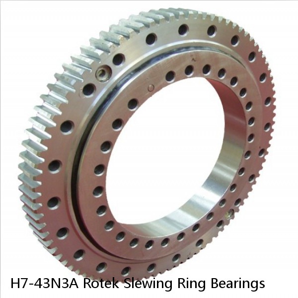 H7-43N3A Rotek Slewing Ring Bearings #1 image