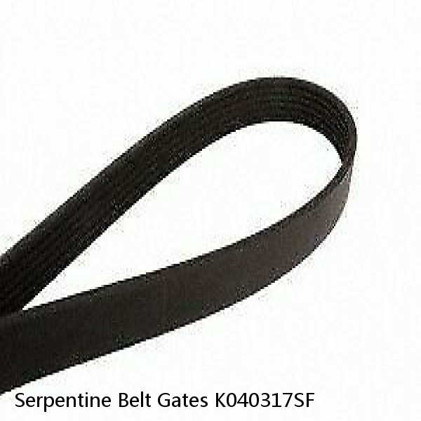 Serpentine Belt Gates K040317SF #1 image