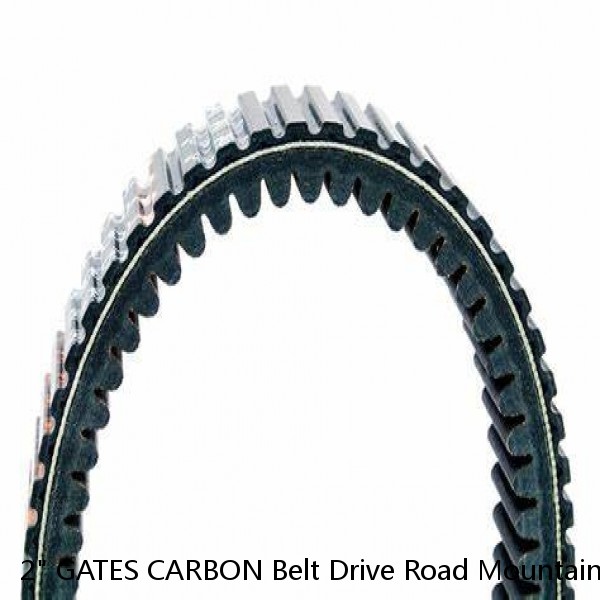 2" GATES CARBON Belt Drive Road Mountain Commute Race Bike Frame Sticker Decal #1 image